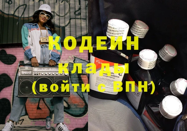 бошки Няндома