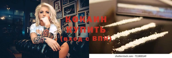 бошки Няндома