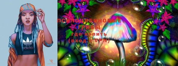 бошки Няндома
