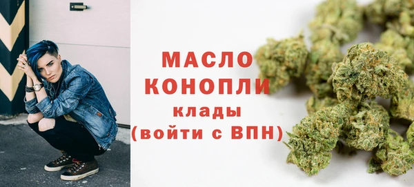 бошки Няндома