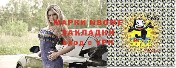 бошки Няндома
