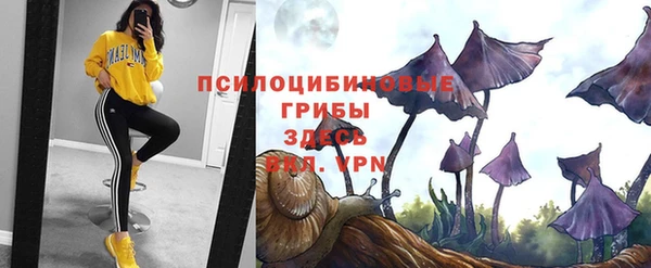 бошки Няндома