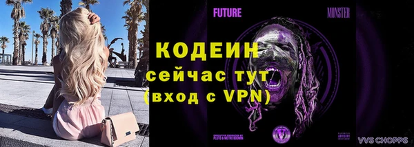 бошки Няндома