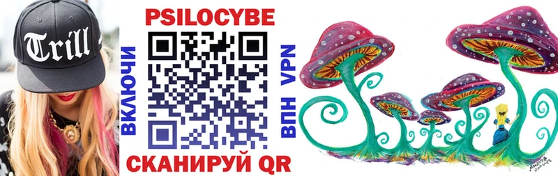 МЕГА как зайти  Щучье  Галлюциногенные грибы MAGIC MUSHROOMS 